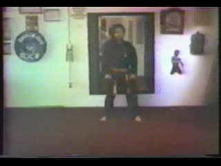 Seisan kata kise fusei sensei