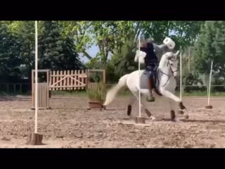 Toiletpaper challenge 2