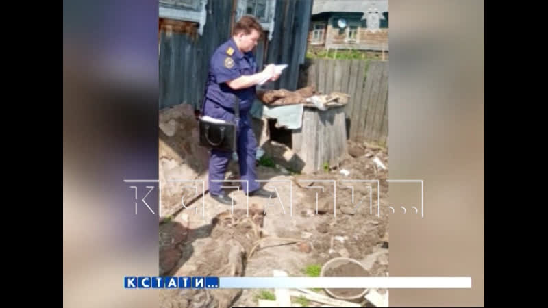 Жена топором зарубила мужа и похоронила его около собачьей будки