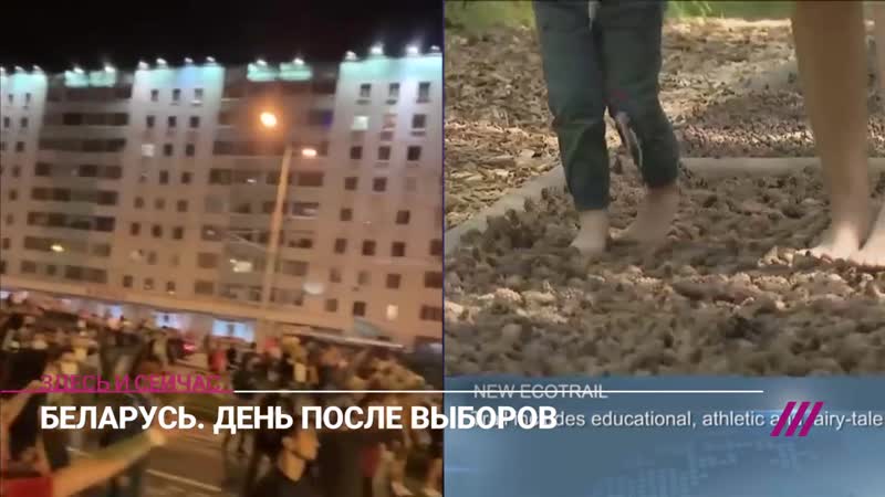 На улицах минска – баррикады, а «беларусь 24» показывает пчел и пеньки