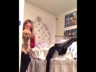 Как можно снять скальп с собаки, лайфхаг