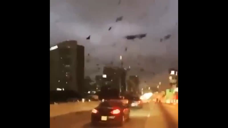 Вечерний куев