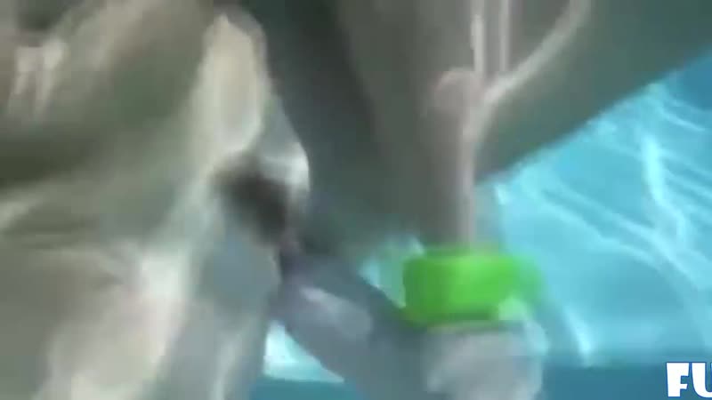 Casada de ribeirão preto trabalha no savegnago deixou o amante meter sem camisinha assim que o corno foi buscar bebida parte 1