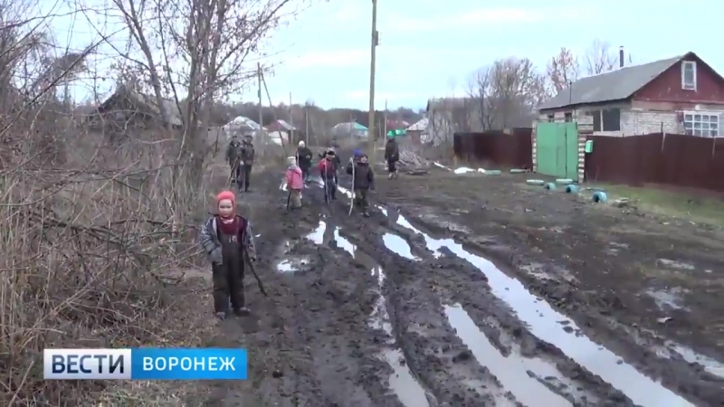 Єдине, що у путіна виходить ефективно це бомбити воронеж