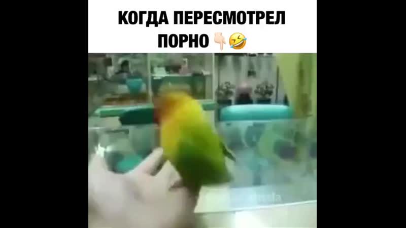 Когда пересмотрел порно