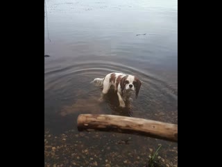 Видео от оксаны яблоковой