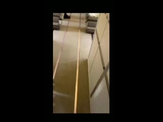 Video 20190524 025747 mp4