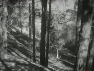 К/ф "партизаны в степях украины"