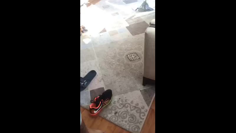 Eve attıkları bakire kız ile grup yapıyorlar