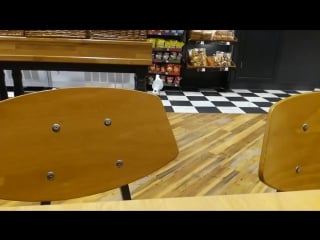 Grand theft chips seagull master thievery out of the garage