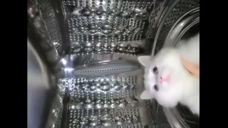 Yоu guys askеd fоr it еvеn i wantеd it finе, i'll dо it mysеlf