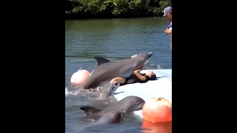 Женщина и дельфин, дельфин и женщина