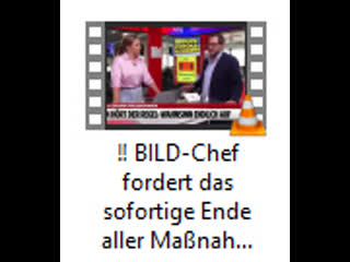 Bild chef fordert das sofortige ende aller massnahmen!