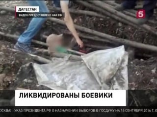 В дагестане уничтожен главарь бандгруппы по кличке абу ясир и пятеро его соратников