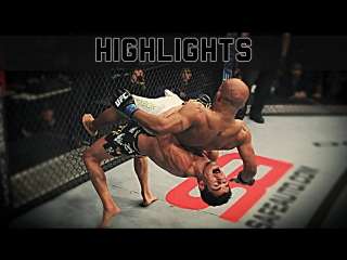 Dominick cruz vs demetrious johnson ● fight highlights ● hd