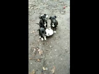 Video 20201031 151114 mp4