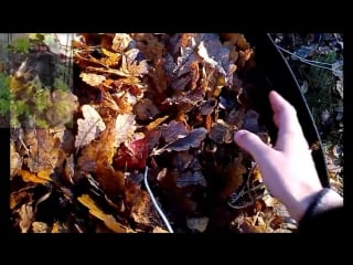 Компостная куча вертикальная грядка из сетки и спанбонда