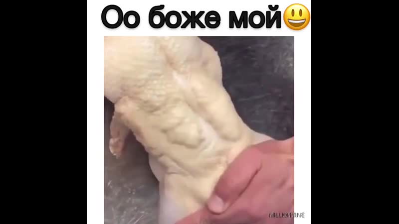 Петух, может быть, хорошо кукарекает, но яйца все таки несёт курица