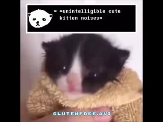 Glutenfree avi 20200820 100730 0 mp4