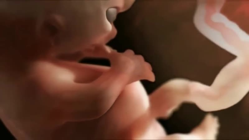 Зачатие ребенка процесс овуляции