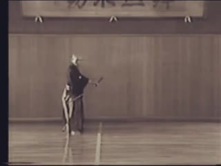 Muso shinden ryu sagawa hanshi