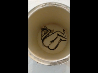 Баночный эротизм