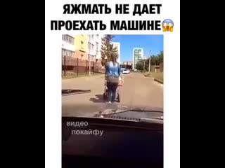 Яжмать не дает проехать машине