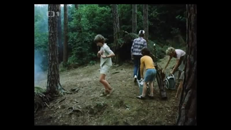 Как зайцы (1981)