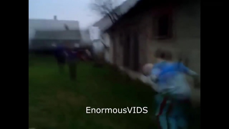 Агрессивное поведение