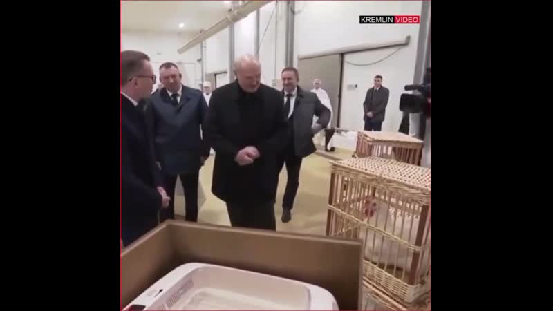 Батько рулит! 😜