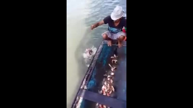 Интересная рыбалка bynthtcyfz hs,fkrf