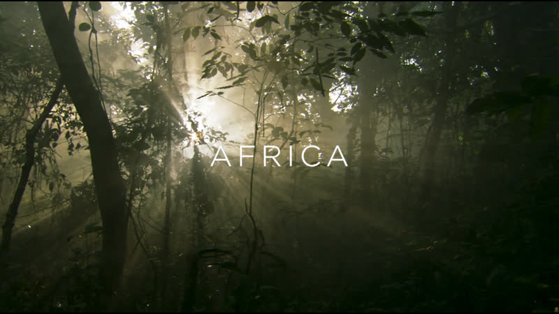 Семь миров, одна планета африка | 7 серия из 7 | 2019 | hd 1080