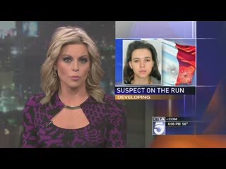 Courtney friel ktla reel (1)