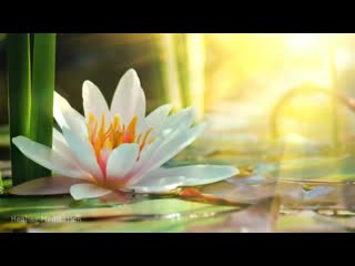 432hzㅣclear energyㅣenergy cleanse for body, mind, soul ㅣcrystal clear intuition