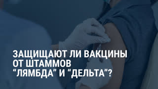 Помогут ли вакцины от новых штаммов коронавируса? watch online