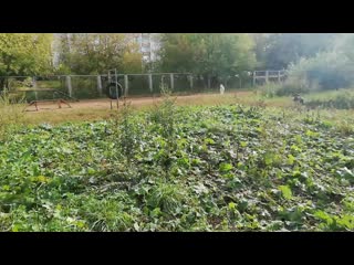 Vid 20190927 100952 mp4