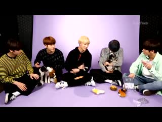 Hair colours they want to try out for future concepts!