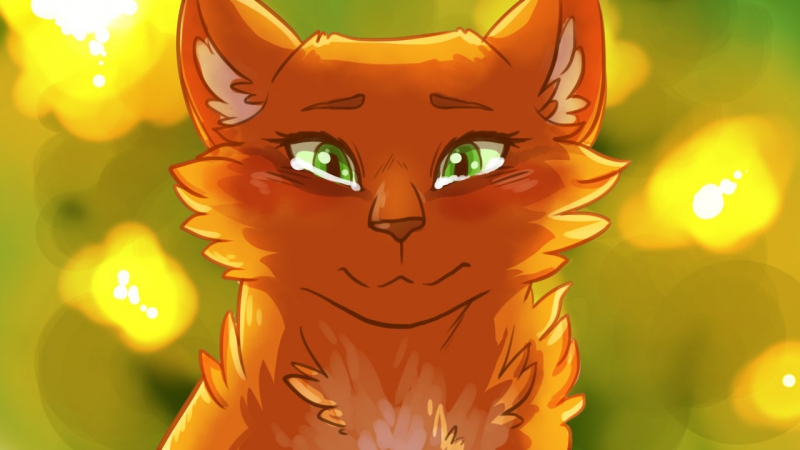 King lionheart ¦¦ squirrelflight map