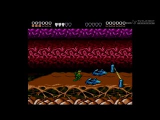 Gamecenter cx 132 battletoads, часть 1 [озвучка den904]