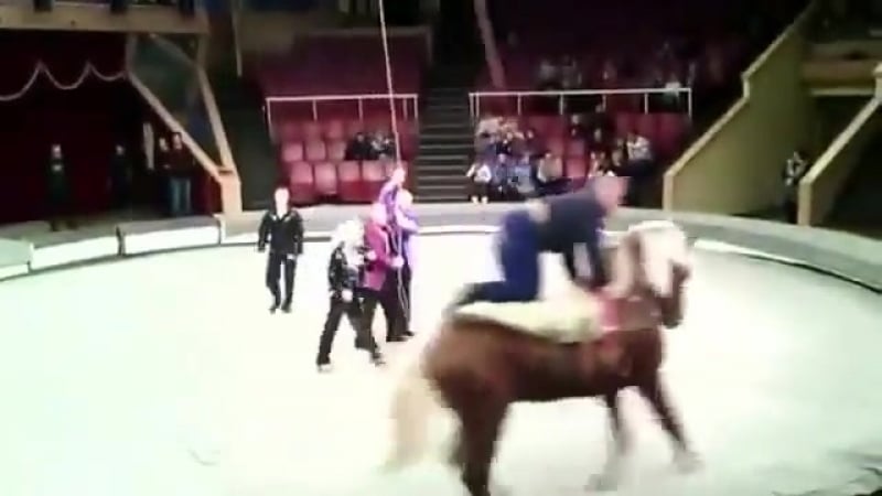 Сходила с пьяным мужем в цирк! ))