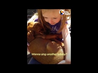 Girl sings lullaby to puppy her family just adopted the dodo