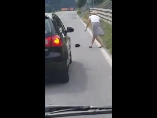 Lady stops to move hedgehogs off the road in germany