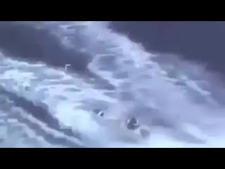 Boat chase horns sign follow @bravesailors for more videos like this @bravesailors @br ( 270 x 480 ) mp4