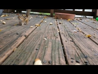 Вместительность щёк саша грей нервно курит в сторонке