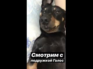 #Ruha #инста #стори gallagherru4 16022019030116