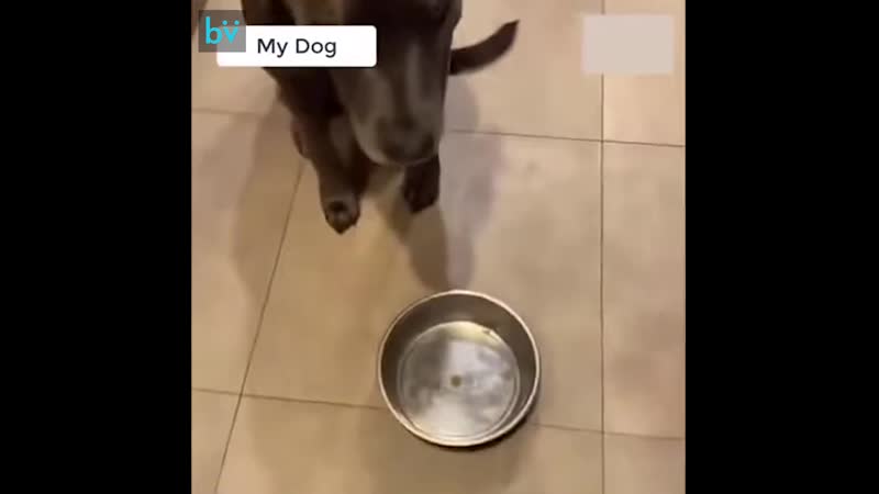 Шутки кончились