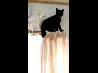 Jimin, rapline by porn ⁺¹⁸