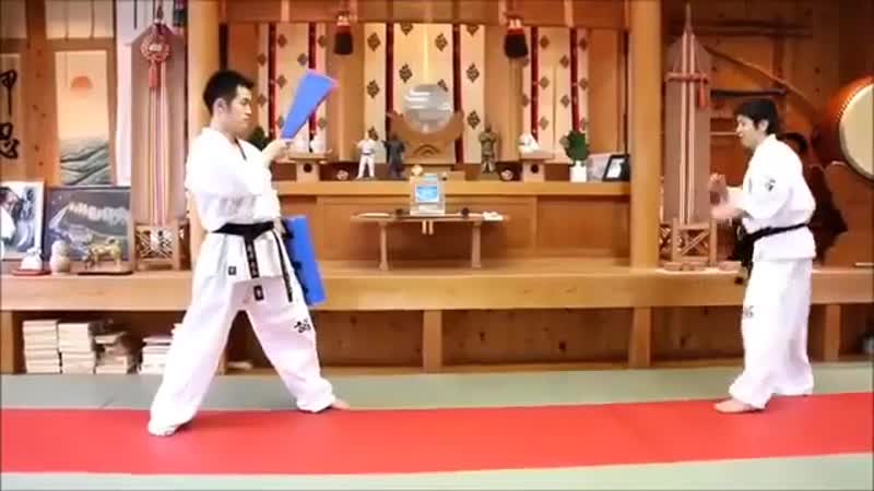 Kyokushin karate porn