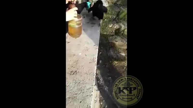 Пыхнул и улетел