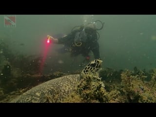 The wreck of htms «khram» | scuba diving in pattaya, thailand